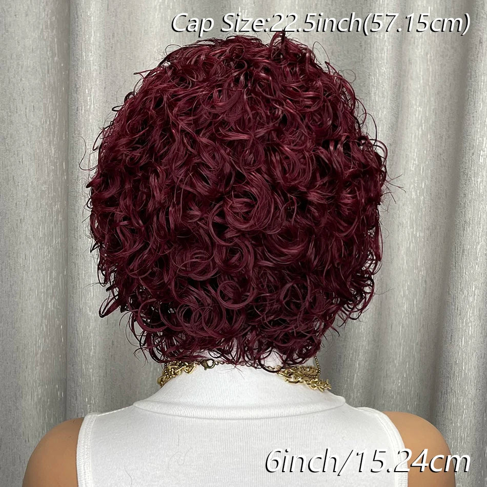 Ombre Burgundy Lace Front Wig - 13x4 Short Curly Pixie Cut Glueless Pre Plucked Human Hair Wig for Black Women