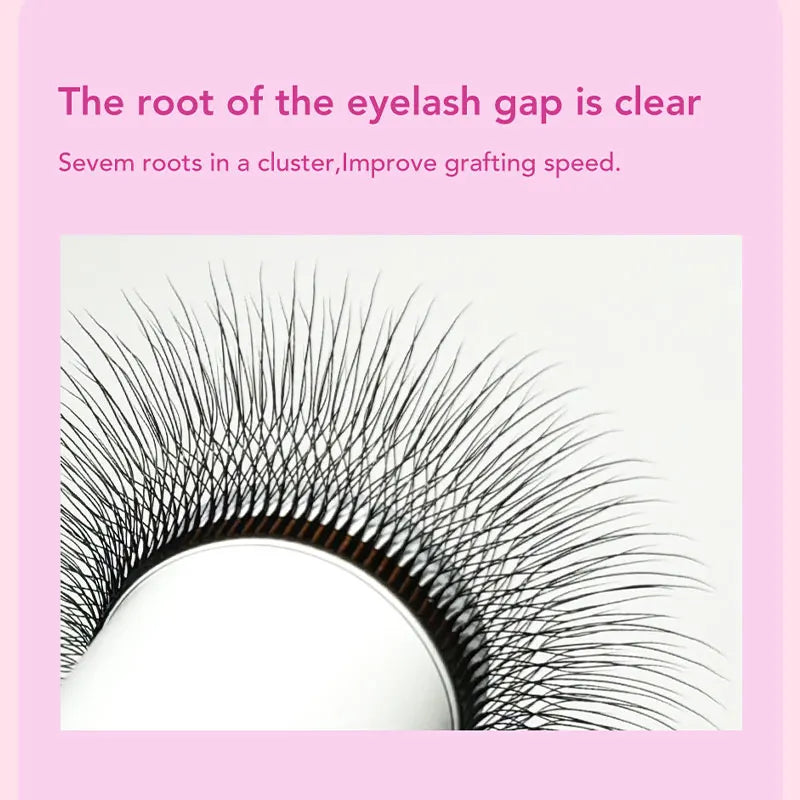 DIYDAY 5D W Shape Eyelash Extensions - Natural Soft Easy Fan Lashes in Different Lengths